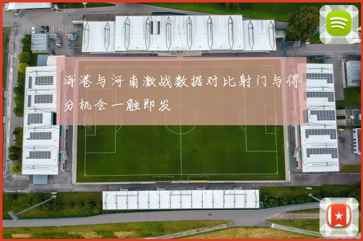 海港与河南激战数据对比射门与得分机会一触即发